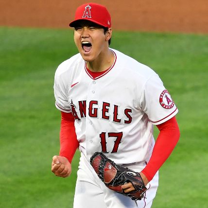 Shohei Ohtani's has an esimated Net Worth of $5 to $10 million.